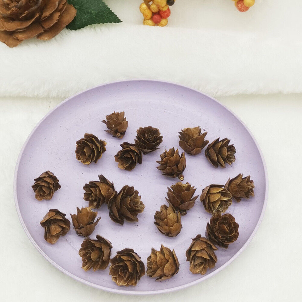 50Pcs Natural Mini Pine Cones Nut Fruit Dried Flowers Christmas Tree Party  Decor